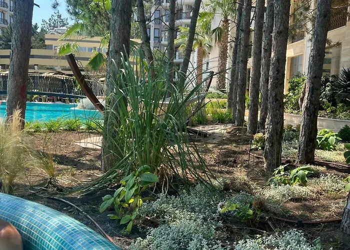 Apartament Harmony Słoneczny Brzeg